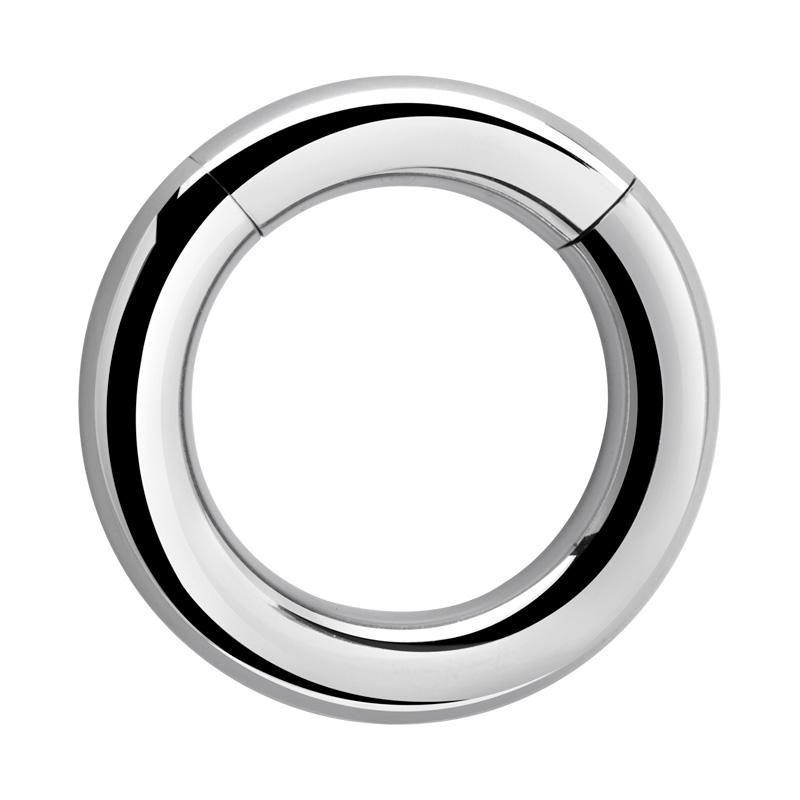 Heavy LARGE Gauge Smooth Hinged SEGMENT RING PA Prince Albert 3mm-10mm Thickness 