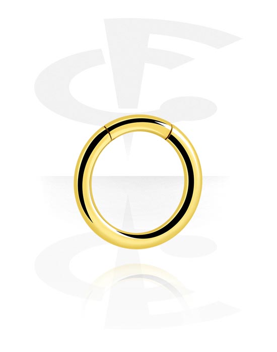 Piercing Rings, Segment ring (surgical steel, gold, shiny finish), Gold Plated Surgical Steel 316L