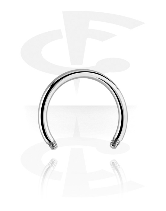 Kuler og staver ++, Circular Barbell Pin, Titanium